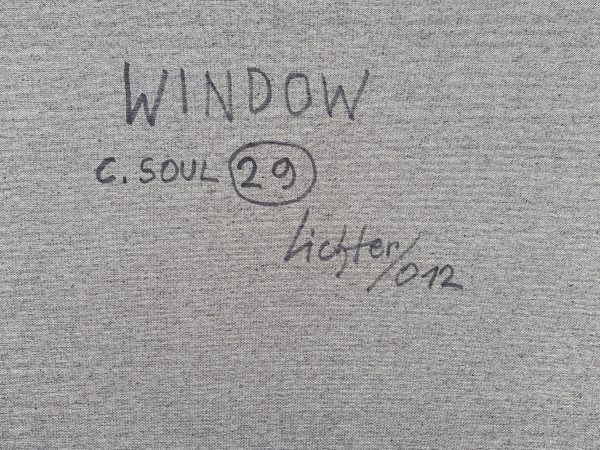 C.Soul 29