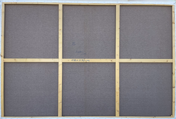XL Sonstellation hinten