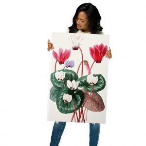 Metal prints - Cyclamens