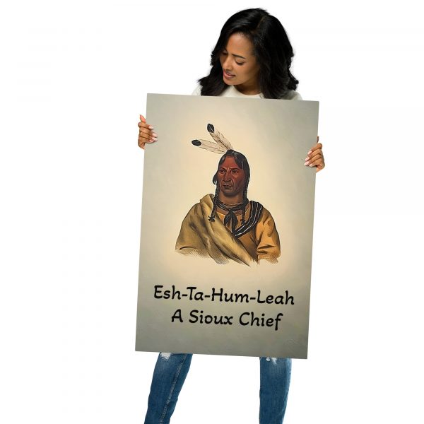 Metal Prints - A Sioux Chief
