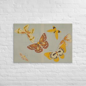 Leinwand - Schmetterlinge