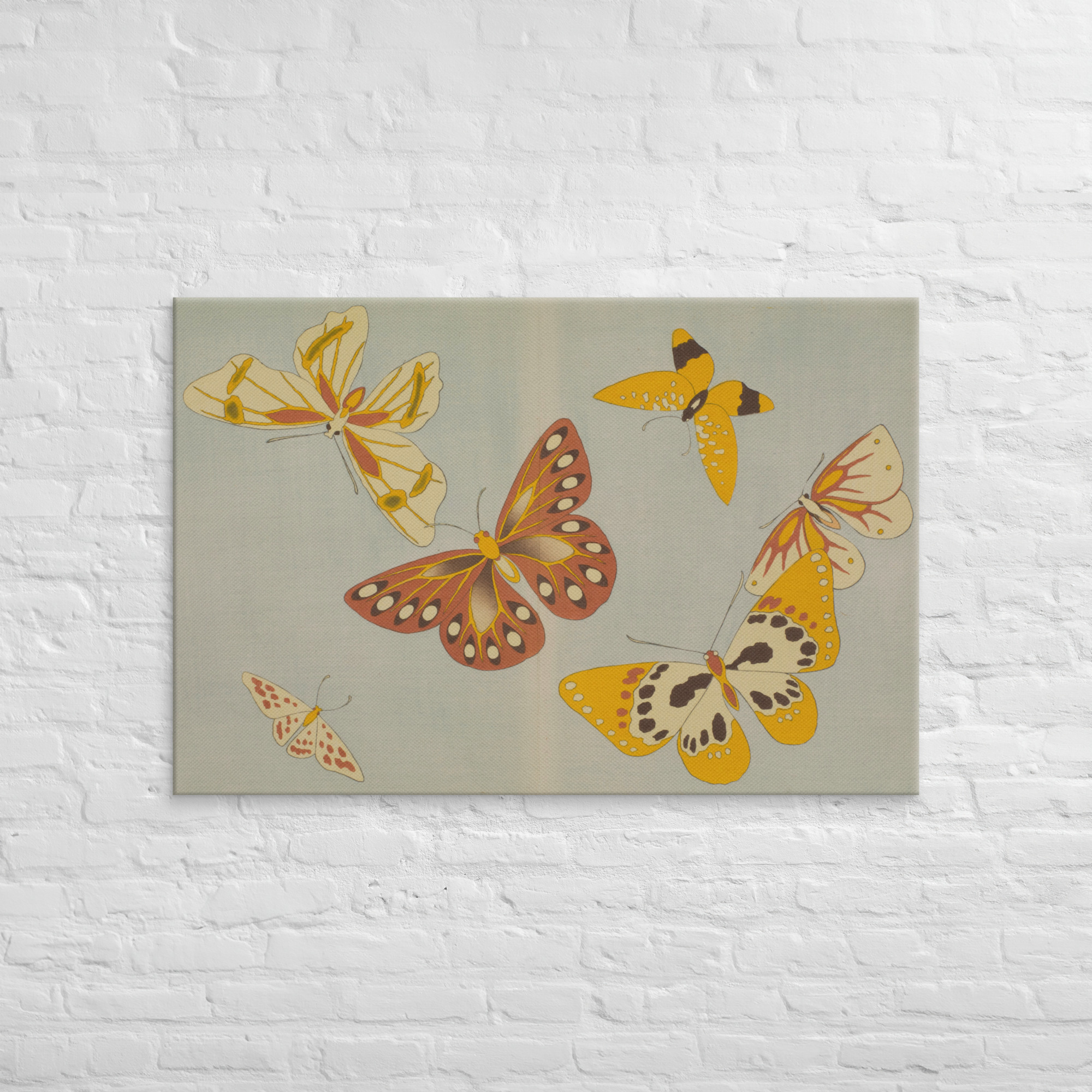 Leinwand - Schmetterlinge
