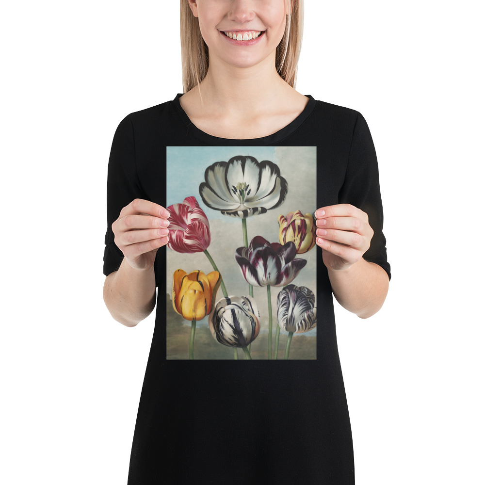 Poster - Blumen – Bild 2