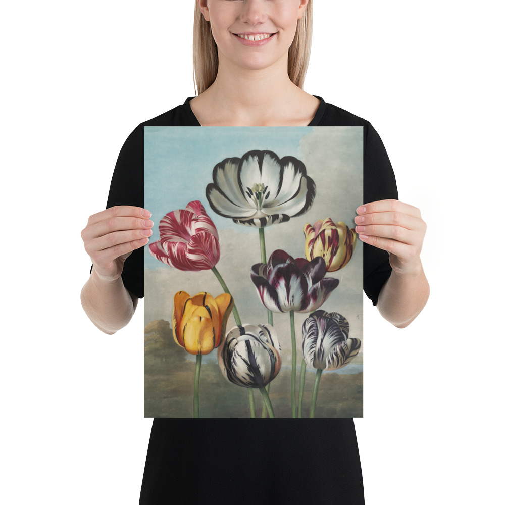 Poster - Blumen – Bild 3