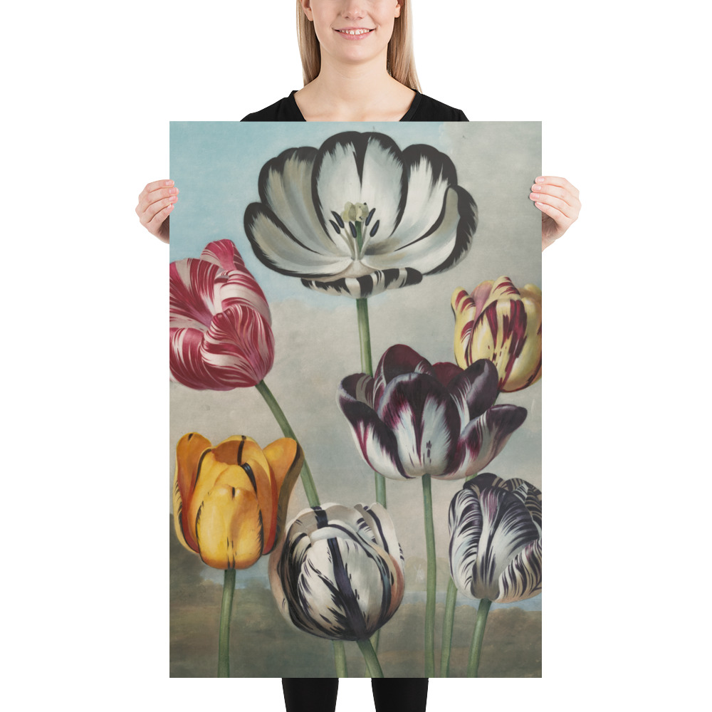 Poster - Blumen – Bild 5