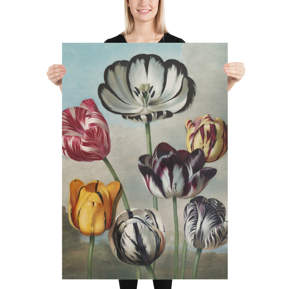 Poster - Blumen