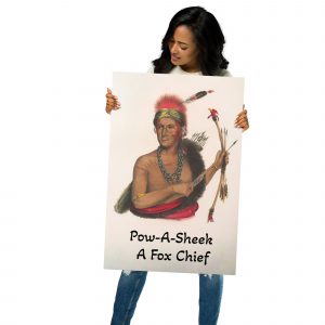 Metal prints - A Fox Chief